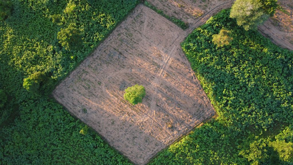 Prime Taramatipet plots for investment